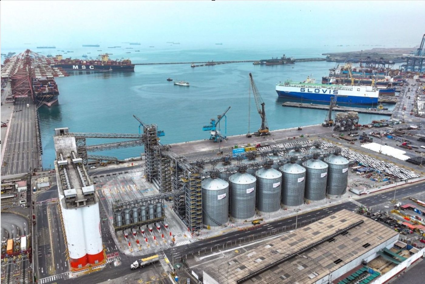 Proyecto EPC — terminal portuario con silos de almacenamiento